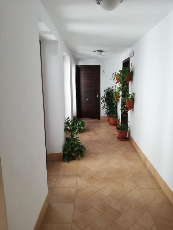 Estudio San Pedro-Corredera Кордова Экстерьер фото